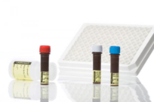 LABScreen® Single Antigen  